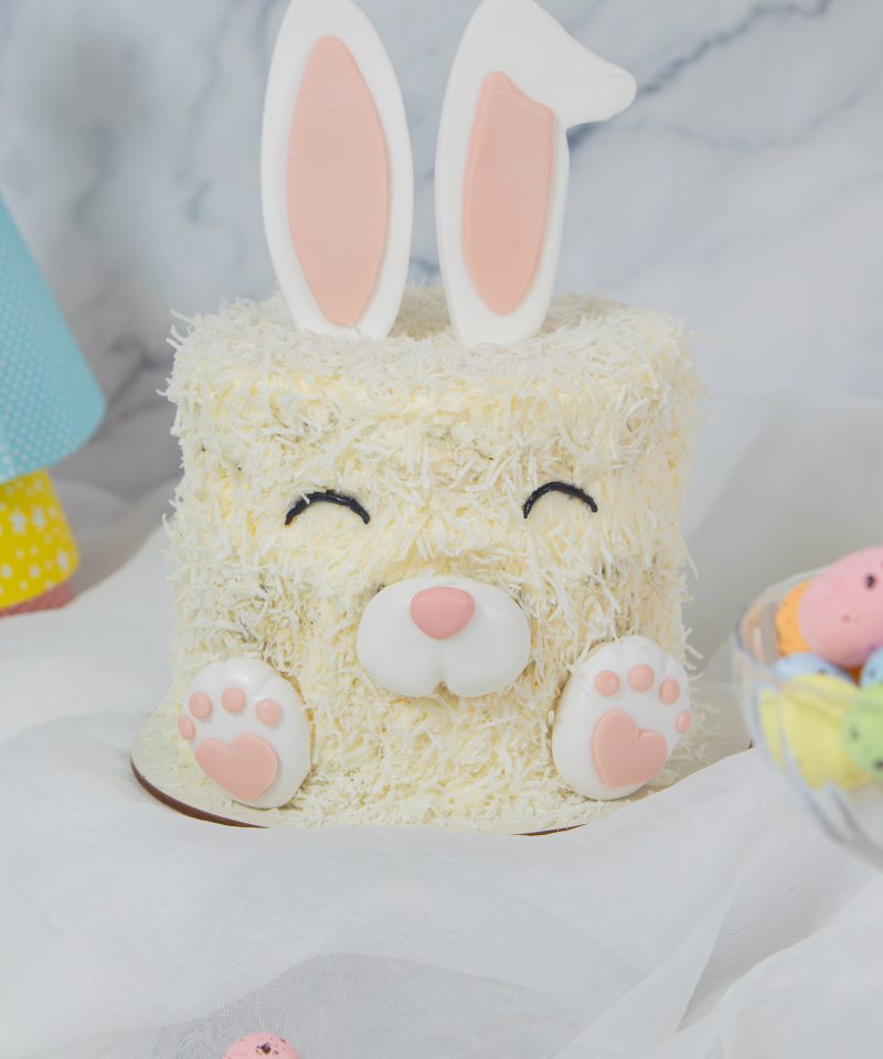 Bolo de festa para bebês